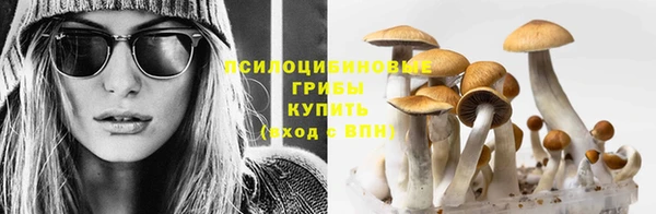 соль ск Михайловка