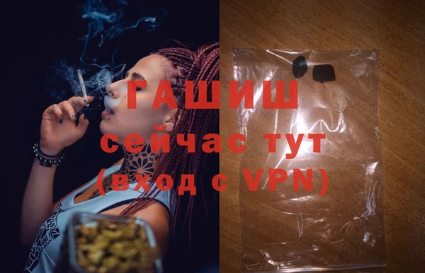 тгк Бердск