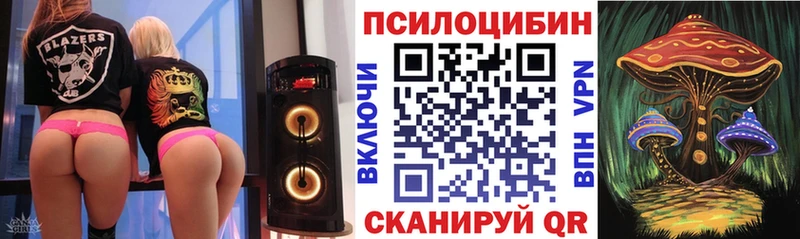 Псилоцибиновые грибы GOLDEN TEACHER мега ONION Адыгейск купить наркотики цена